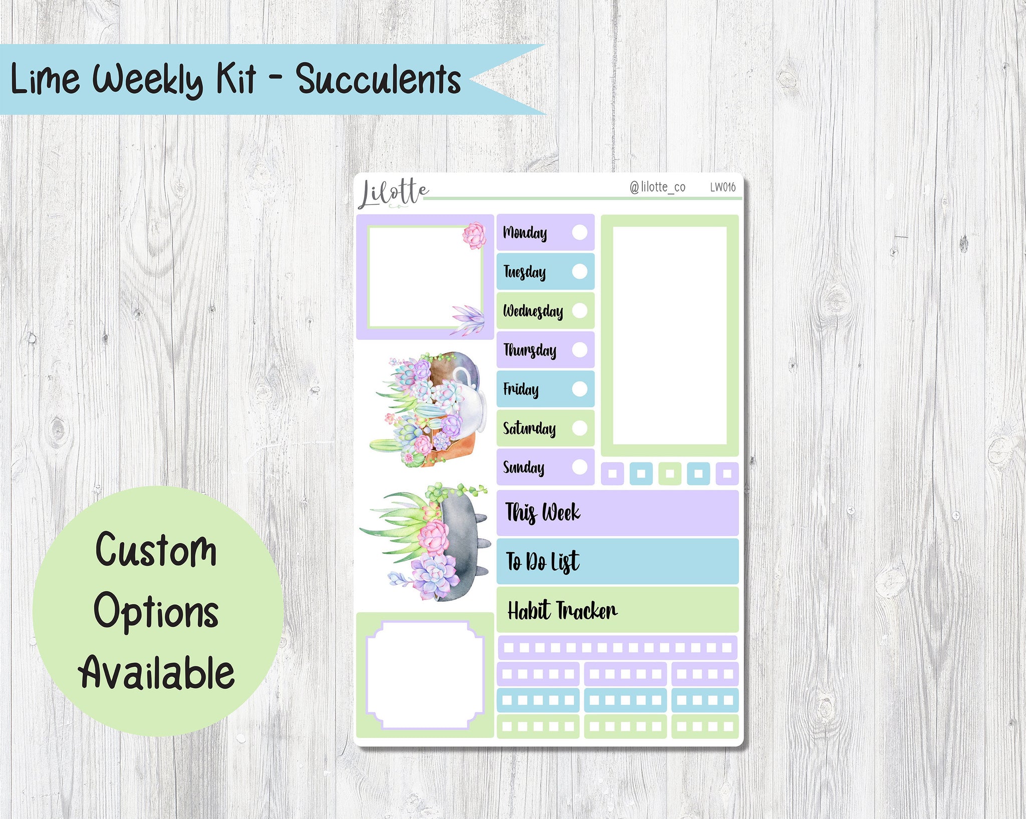 Succulents - Lime Weekly Kit